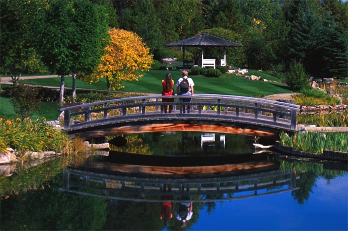 image: japanese garden