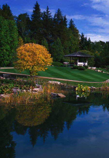 image: japanese garden
