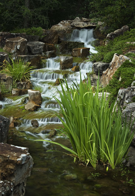 image: japanese garden