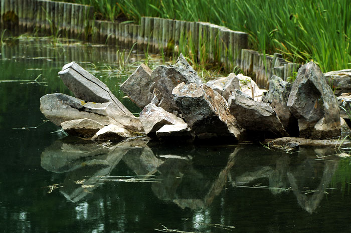 image: japanese garden