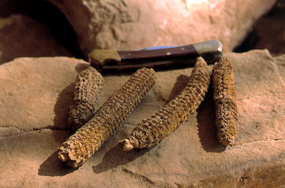 Anasazi Images