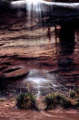 Anasazi Images