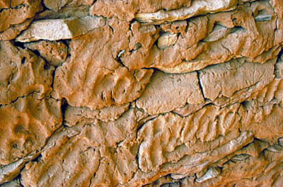 Anasazi Images