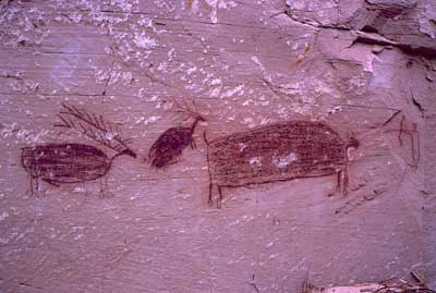 Anasazi Images