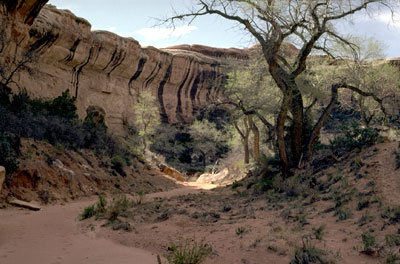 Anasazi Images