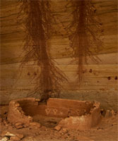 Anasazi Ruin