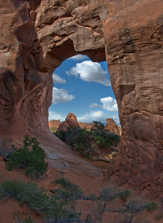 Pine Tree Arch: Arches National Park