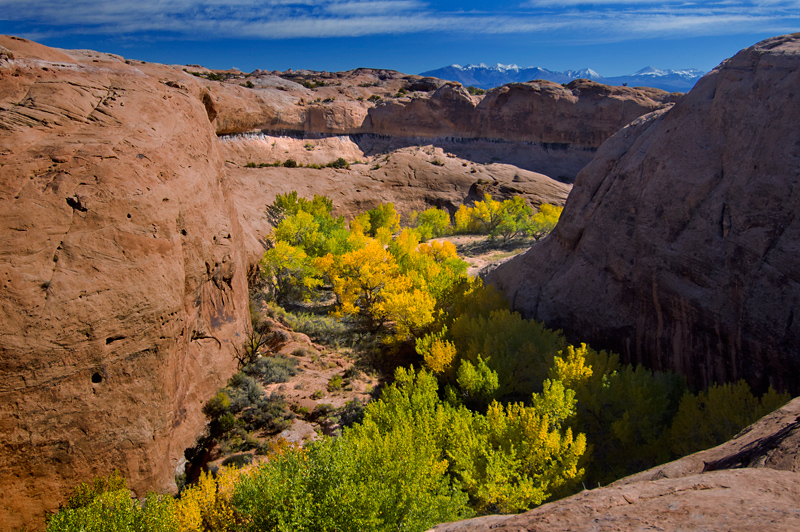 Courthouse Wash: Arches National Park