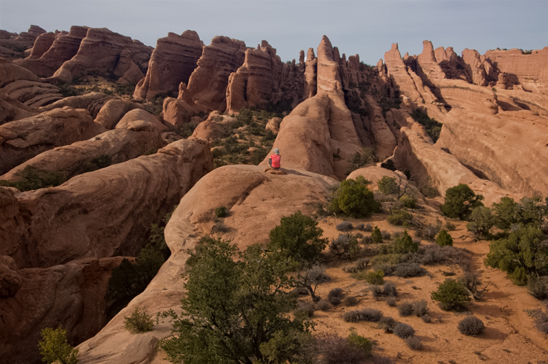 Devil's Garden: Arches National Park