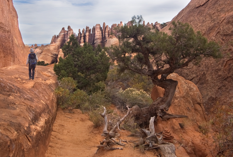 Devil's Garden: Arches National Park