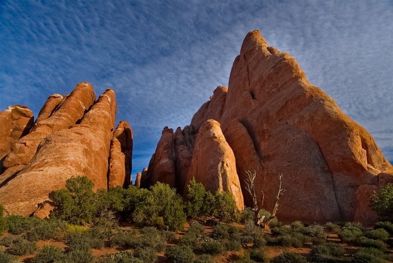 Fins: Arches National Park