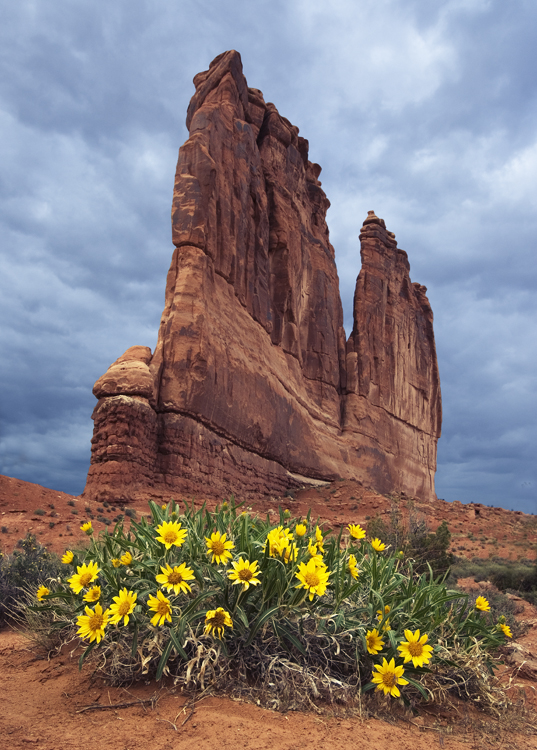Courthouse Towers: Arches National Park