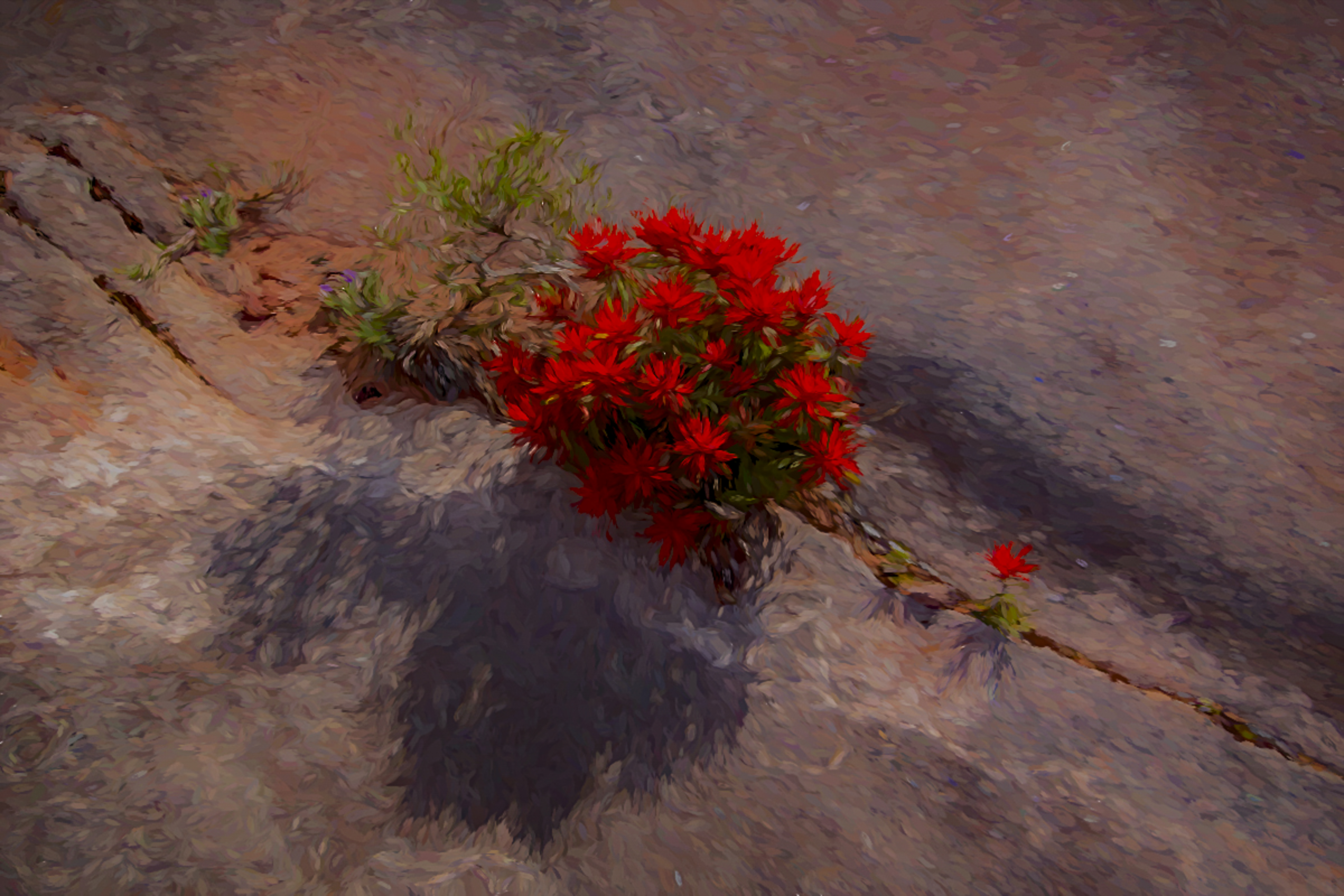 Topaz Studio Digital Painting and Photography by Ray Rasmussen