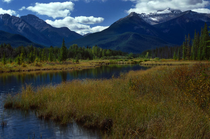 Banff National Park