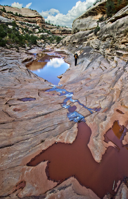 Armstrong Canyon