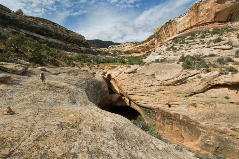 Armstrong Canyon