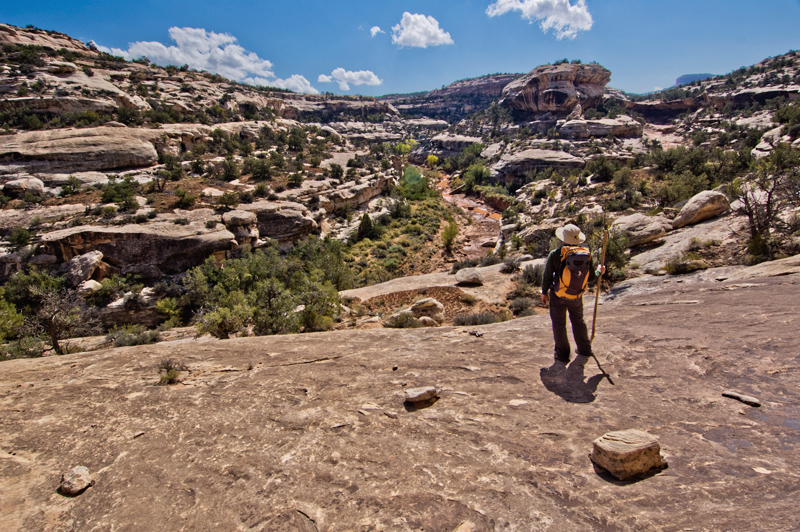 Armstrong Canyon