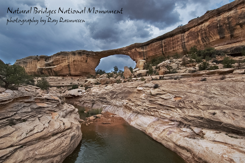 Natural Bridges National Monument