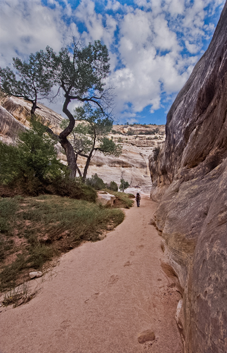 Deer Canyon