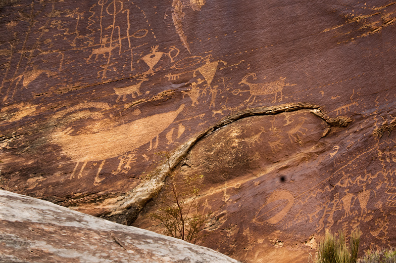 Petroglyph Panel