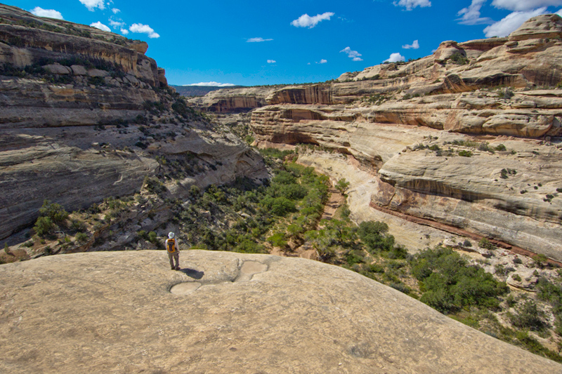 White Canyon