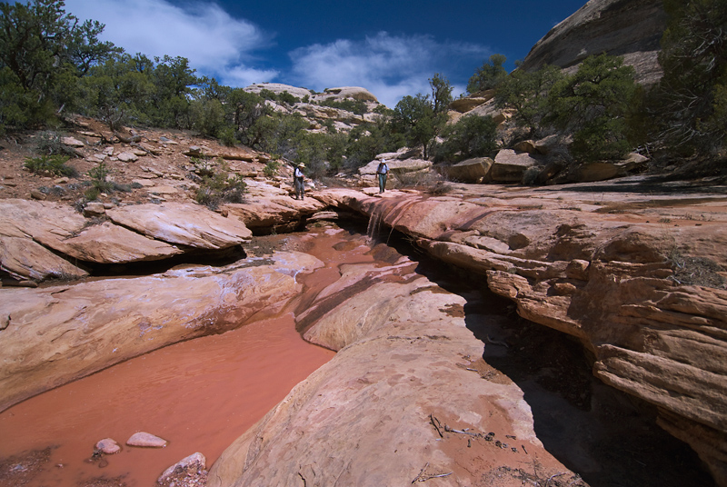 White Canyon