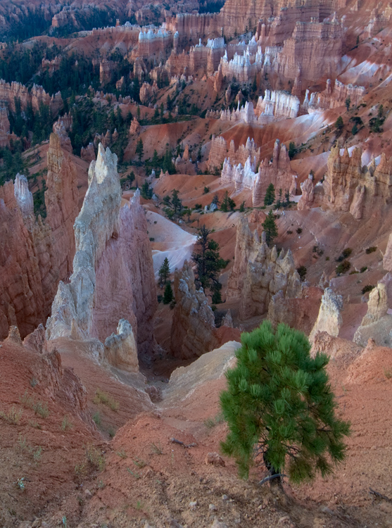 Bryce Canyon National Park