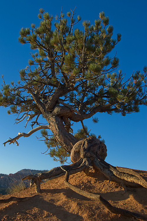 Bryce Canyon National Park