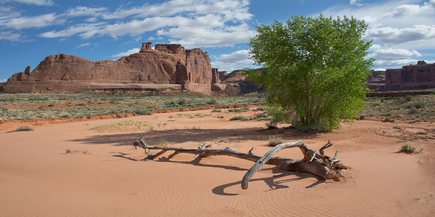 Needles District, Canyonlands National Park, Utah