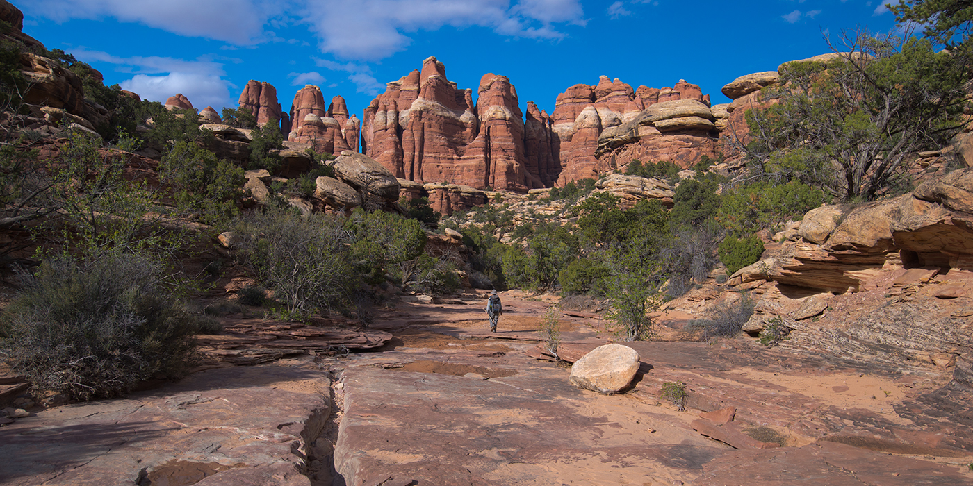 Elephant Canyon, Needles, Canyonlands