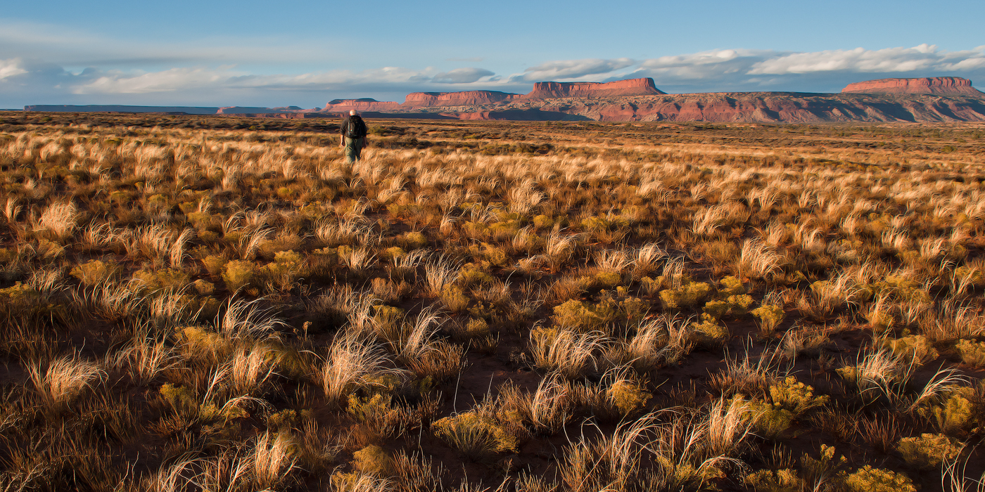 Cedar Mesa