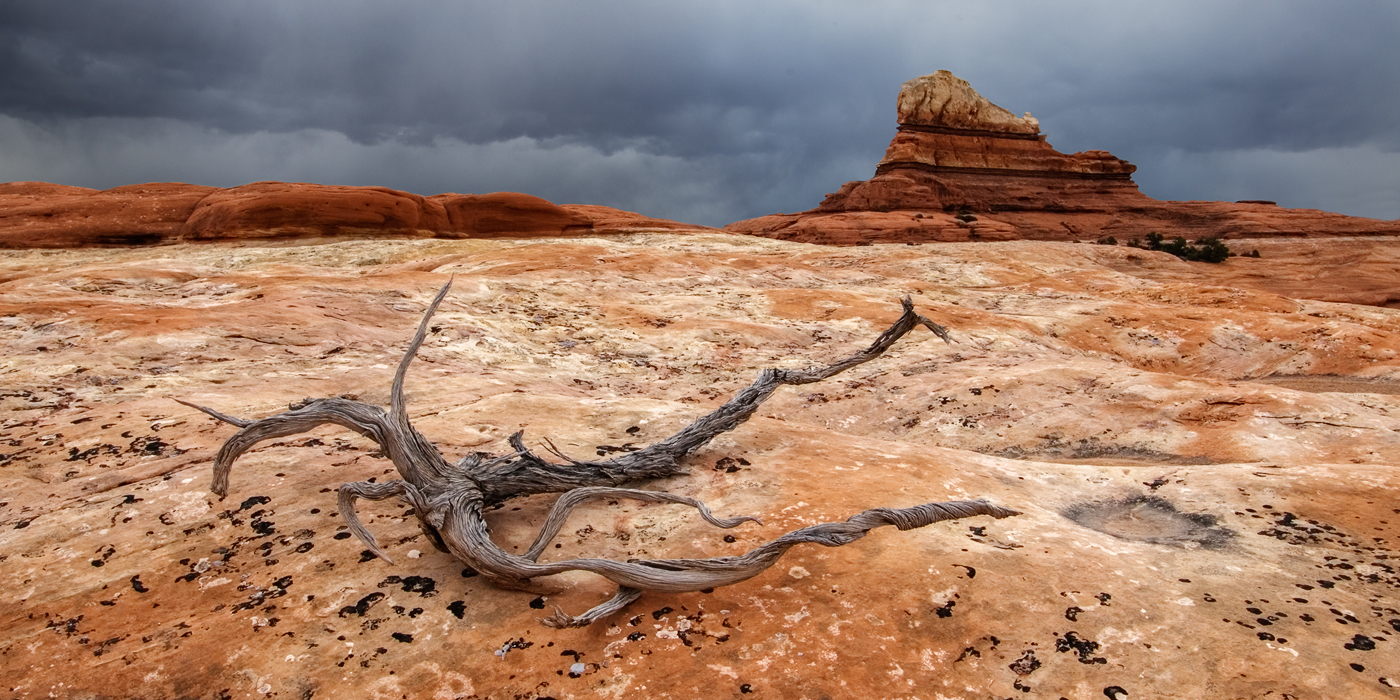 Mule Canyon