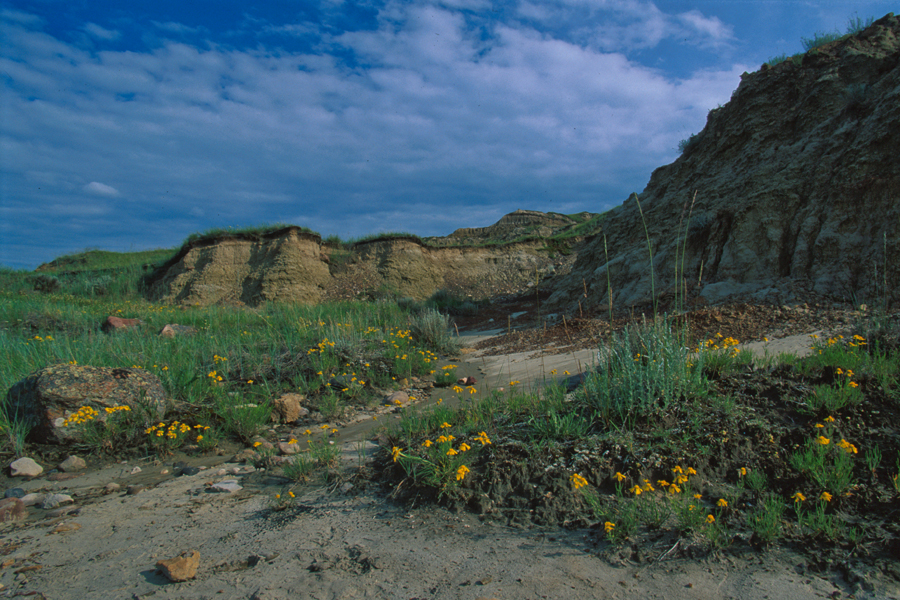 Dry Island provincial park