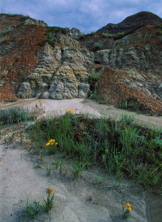 Dry Island provincial park