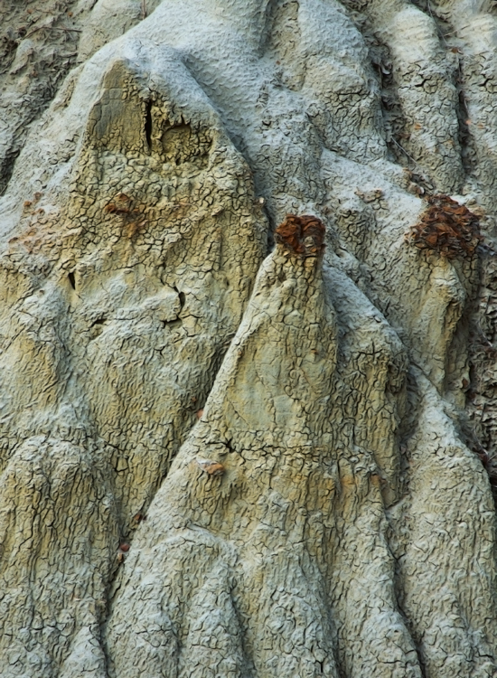 Dry Island provincial park