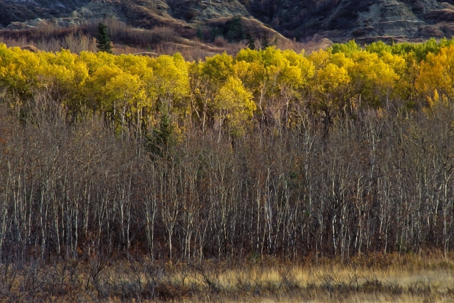 Dry Island provincial park