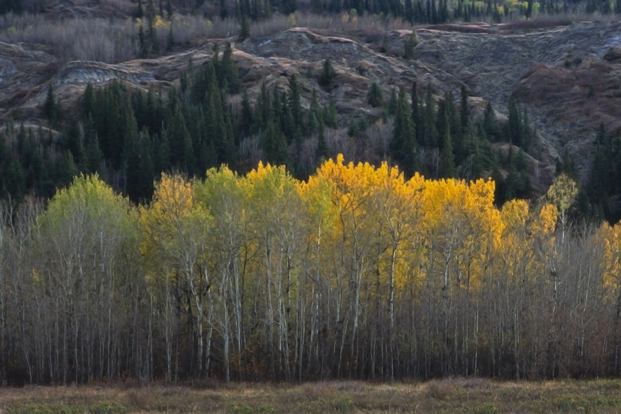 Dry Island provincial park