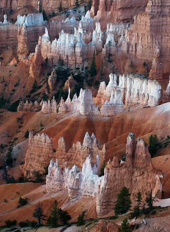 bryce_10x14_6552_npe