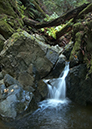 muirwoods_waterfall_3078_v750