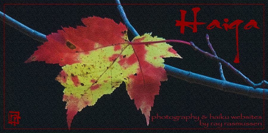 haiga