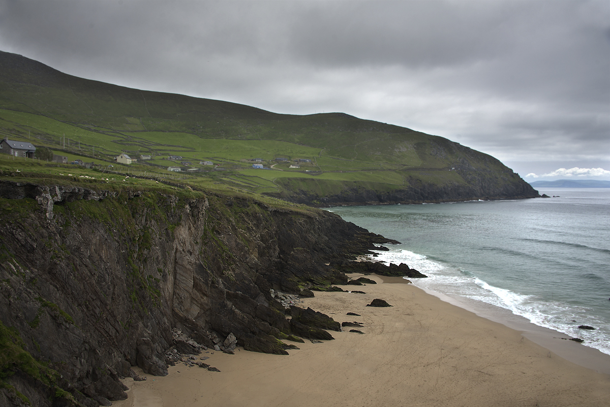 dingle