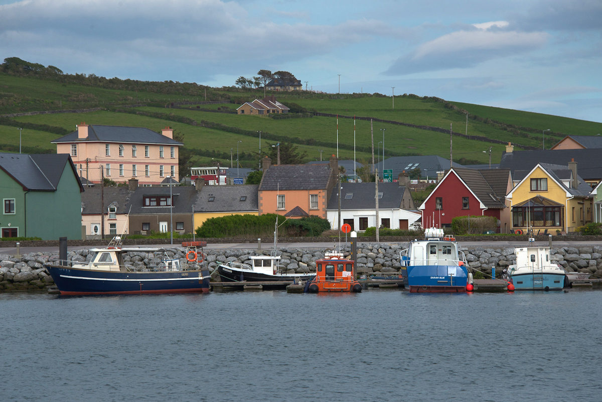 Dingle