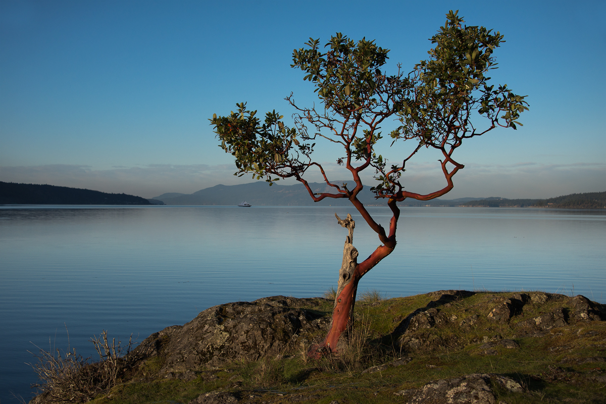 vancouver island