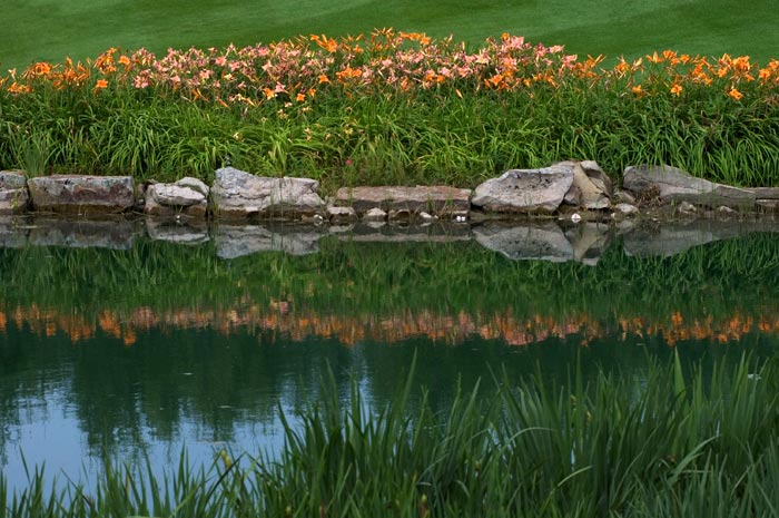 image: japanese garden