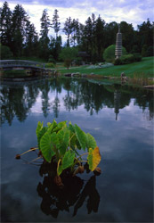 Kurimoto Japanese Garden