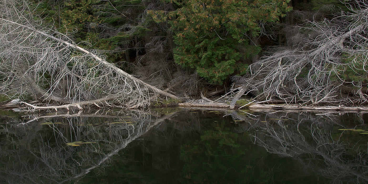 canoe images