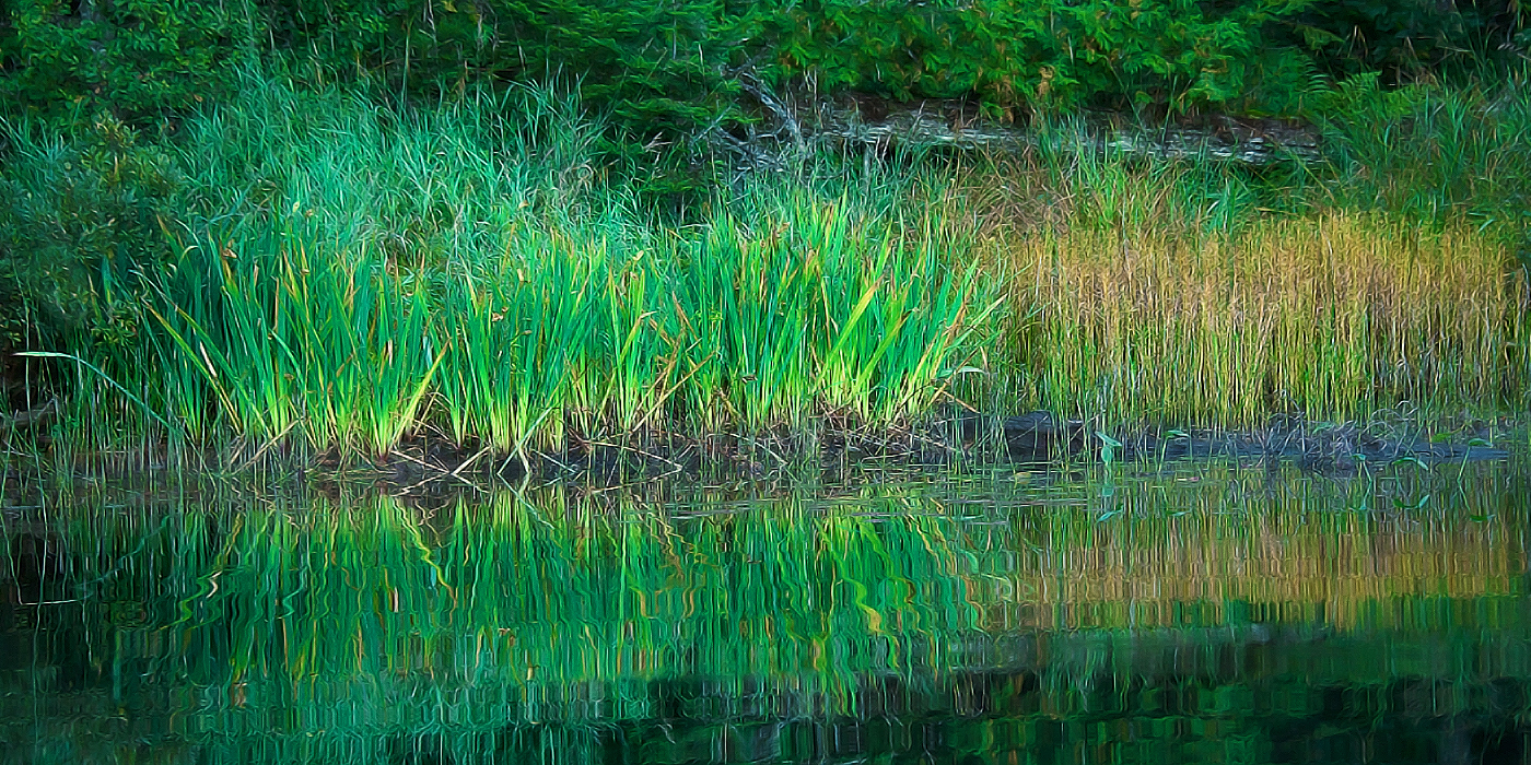 canoe images