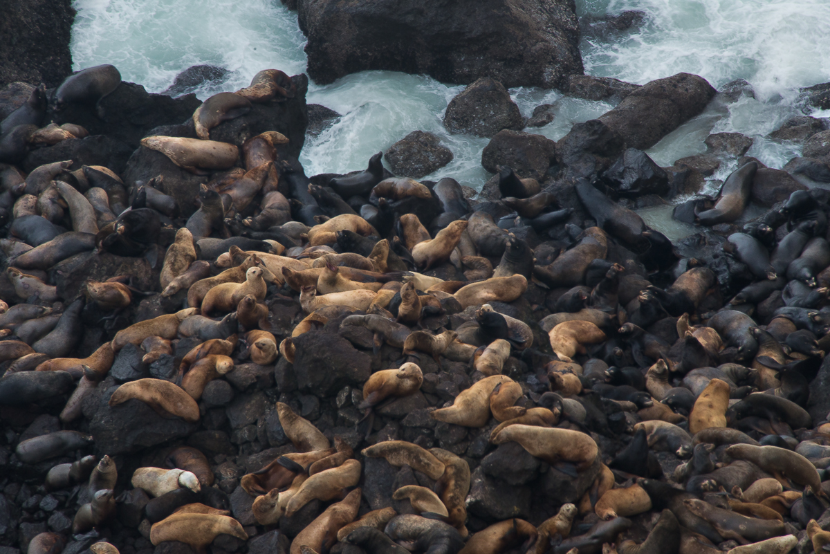 vancouver island