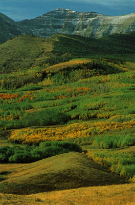 Rocky Mountains