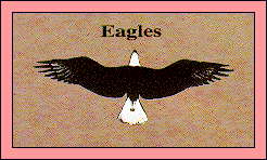 JPG -- Picture of eagle outline